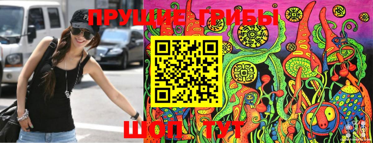 Губкин  Псилоцибиновые грибы Magic Shrooms  Вход с VPN  где купить наркоту  Галлюциногенные грибы GOLDEN TEACHER 