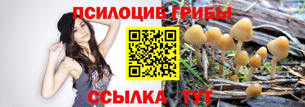 Псилоцибиновые грибы MAGIC MUSHROOMS Губкин